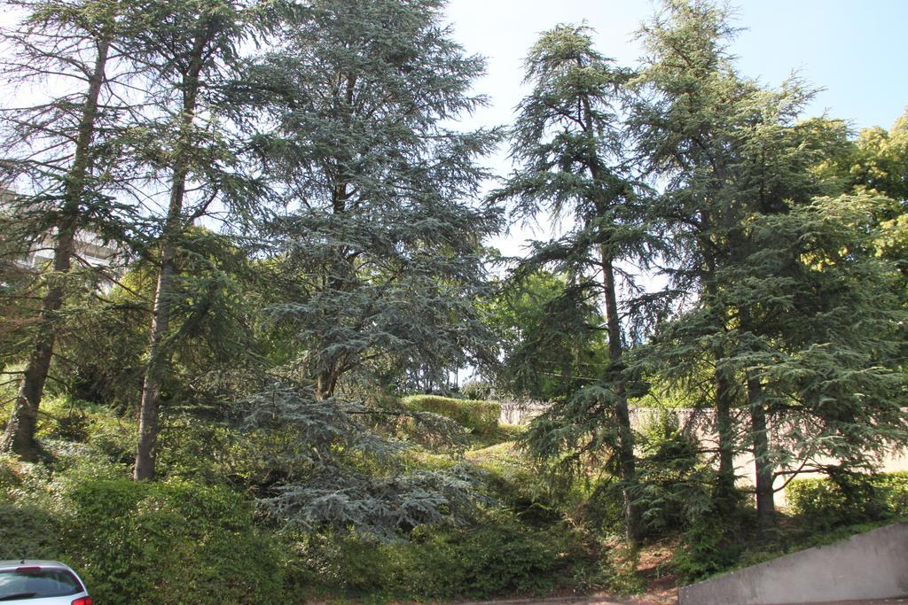 Les Hauts De Perrache Bed & Breakfast Sainte-Foy-lès-Lyon Eksteriør bilde